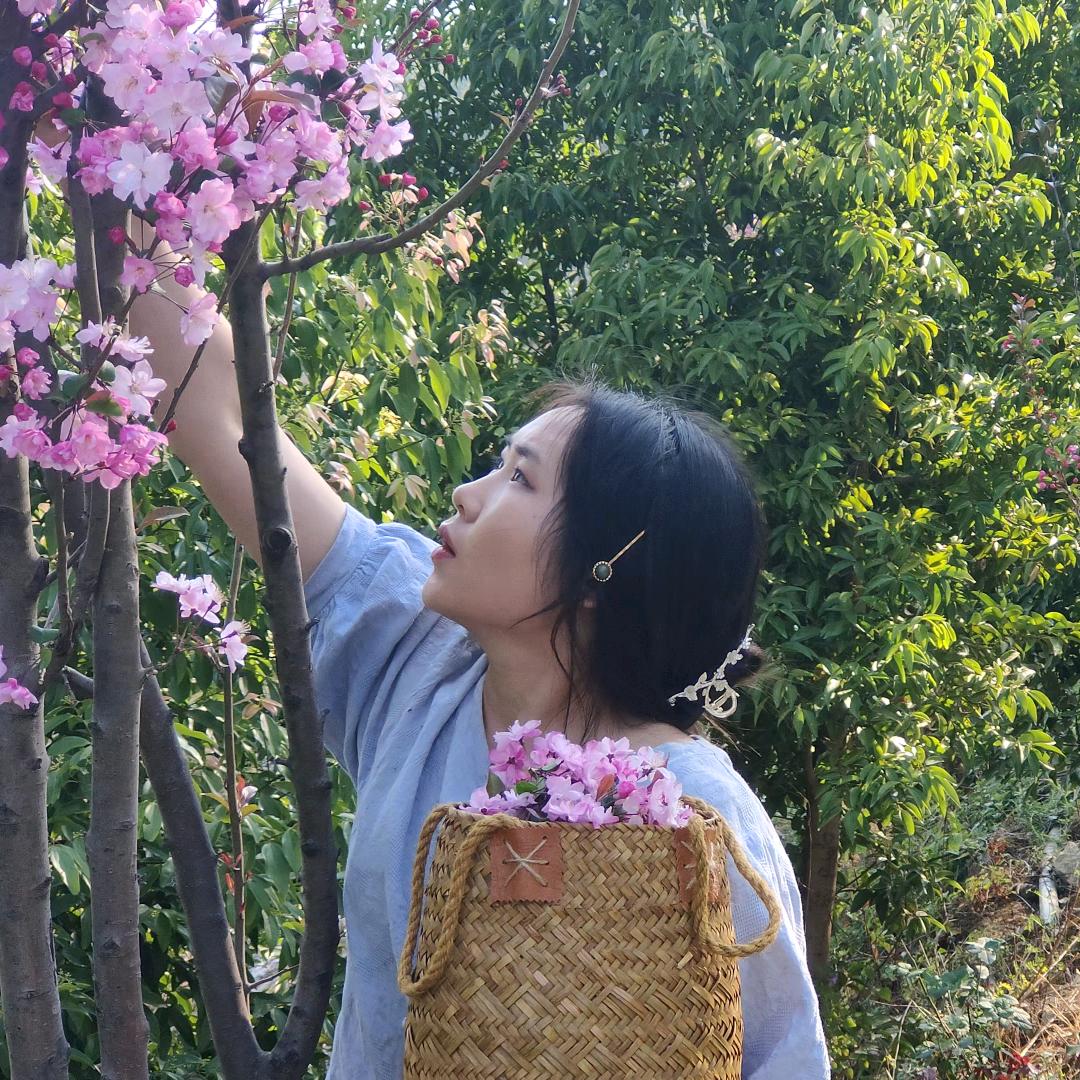 春花野岚录