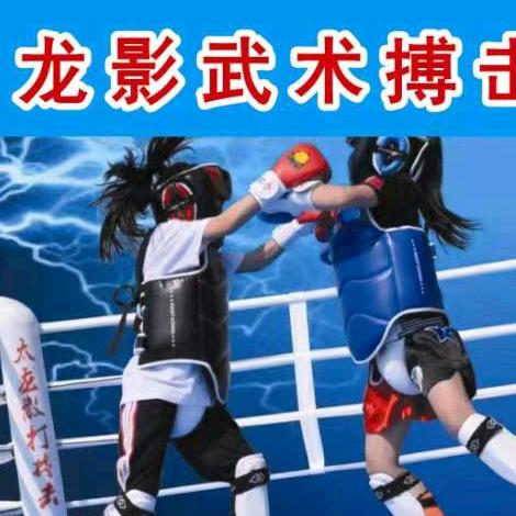 @龙影武术搏击空翻特技
