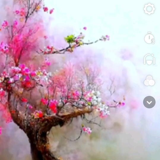 真情永远