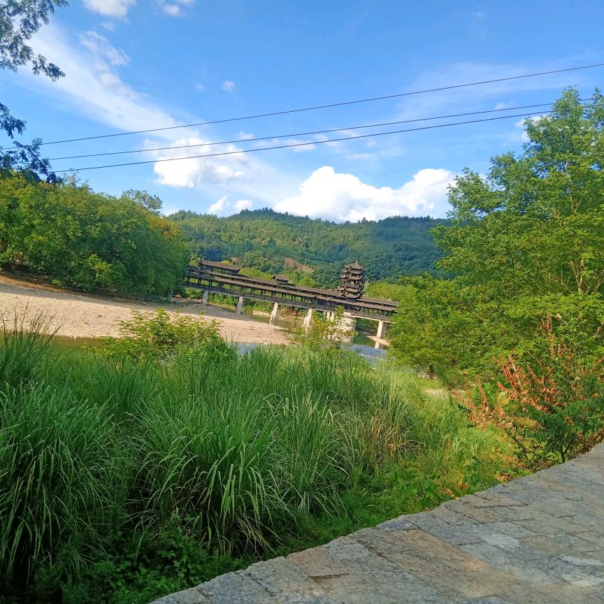 往后余生风雪是我