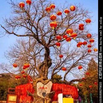 在水一方🌹🌹