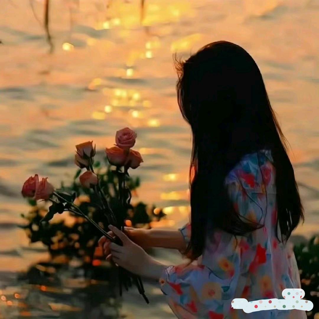 黄小菟