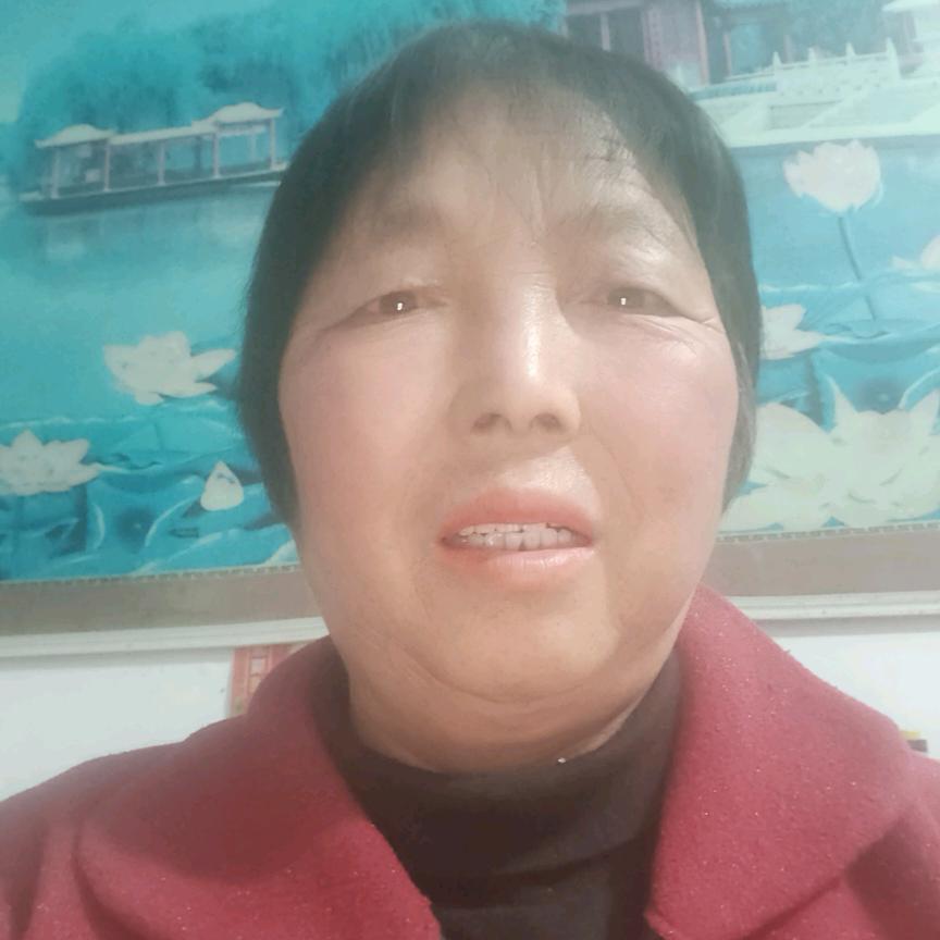 凤霞晚上7.10直播