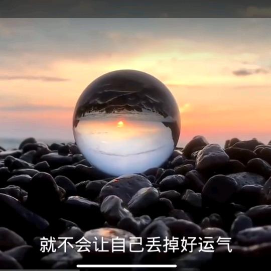 十二廊桥的洛薇头像