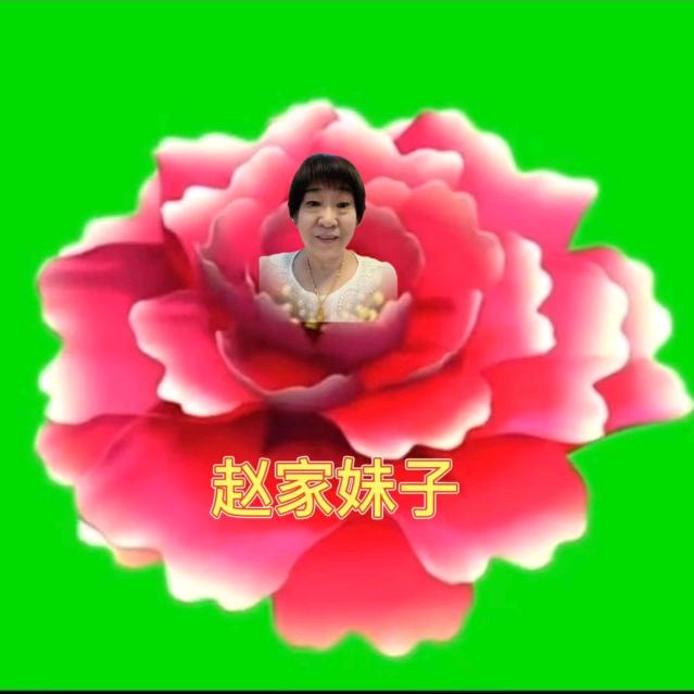 赵家妹子
