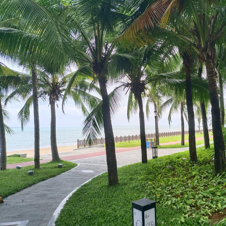 还年轻  未成精