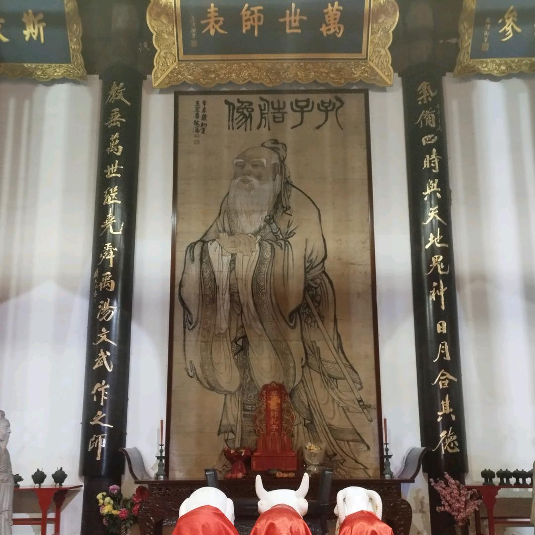 青春只因无少年