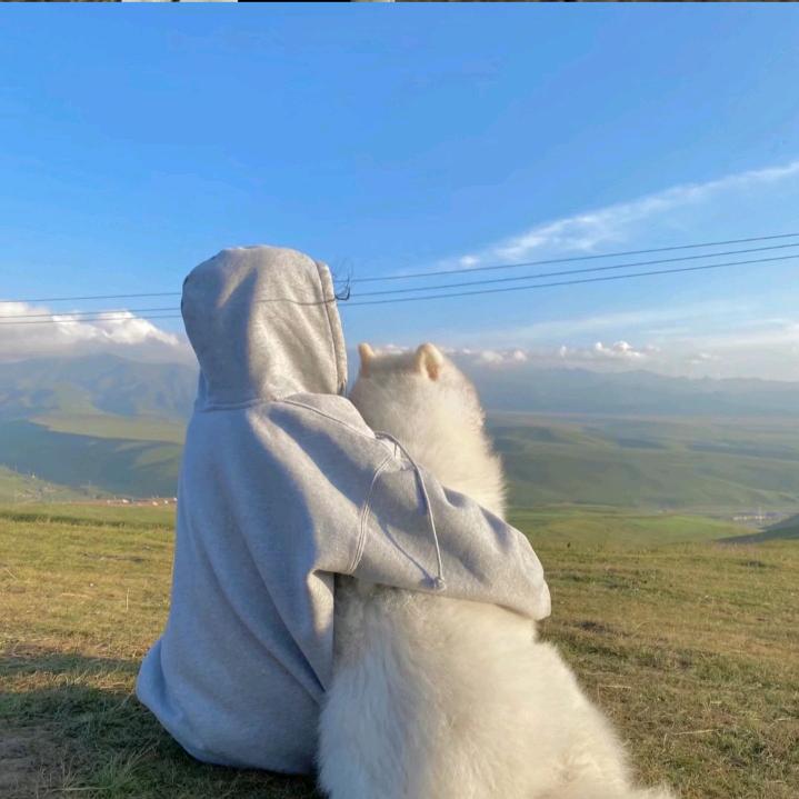 ( ′• 笑着流泪•′ )