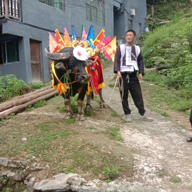 李信
