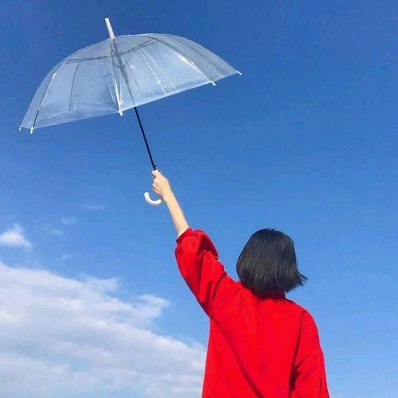 美美盆友吖