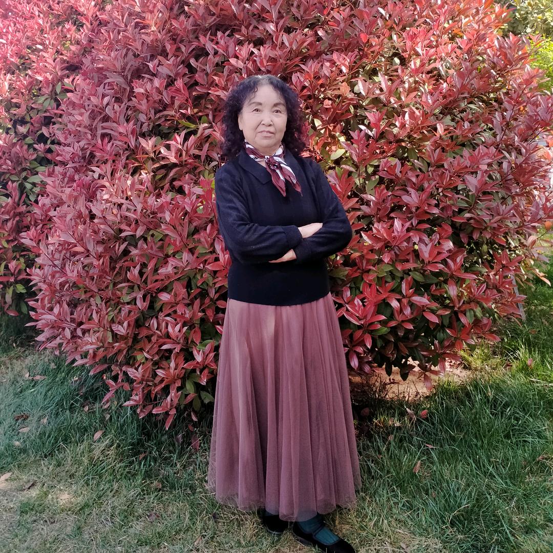🌸腊梅花开🌸