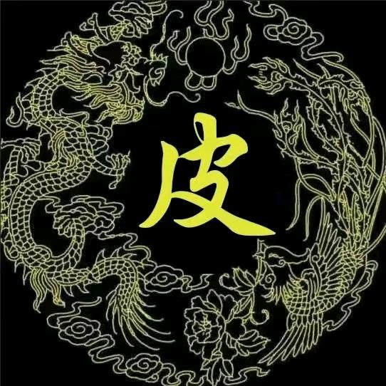 九号码头皮哥