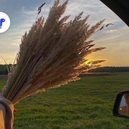 ໑ຼ༃💗ᩚ自由ꦿ໌້ ꪾ✰