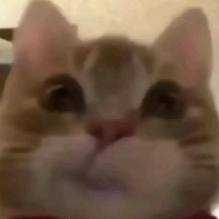 小郑打工仔@抖音