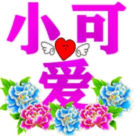 梦想成真2023