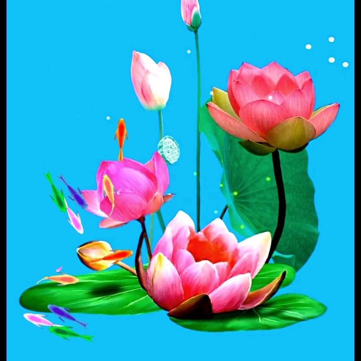 涅槃