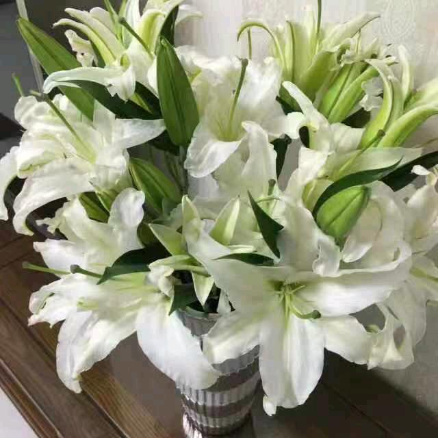浅浅好物