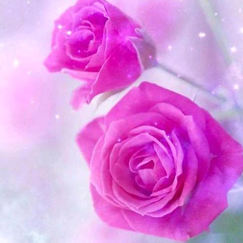 🌹🍒幸福💗常伴🍒🌹