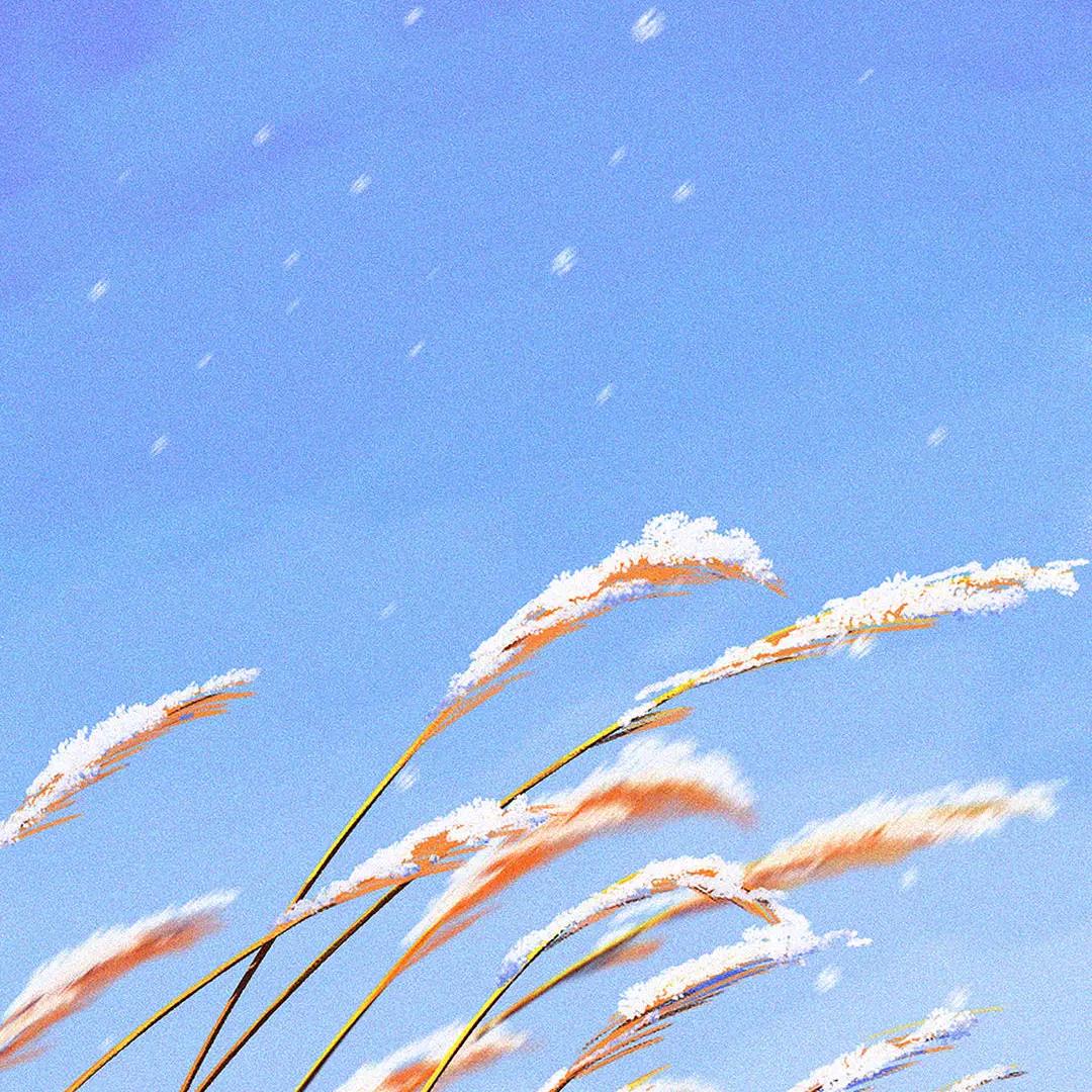 梅花飞舞