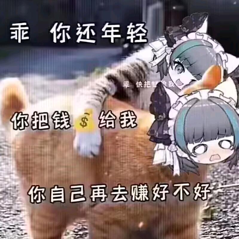 cvn蘑菇