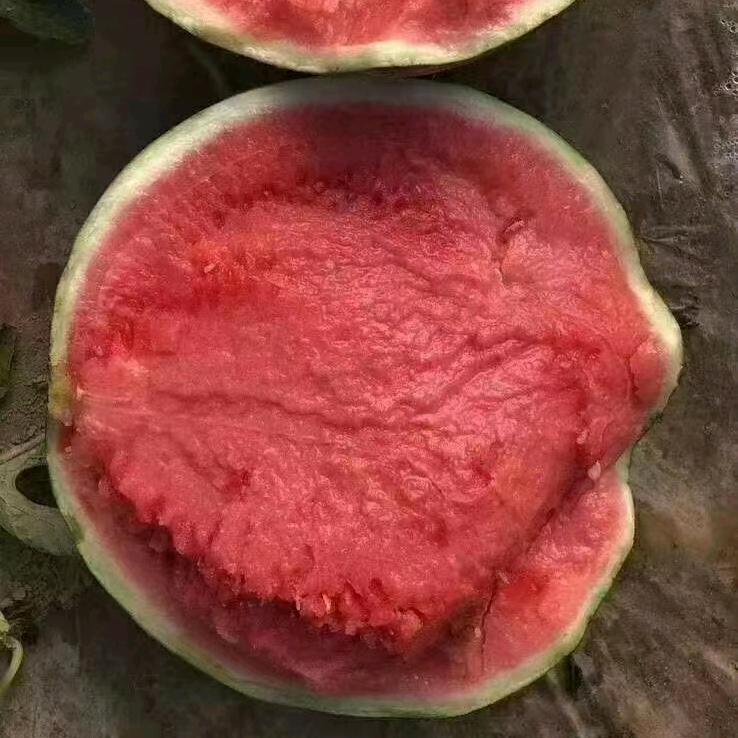 扫一扫