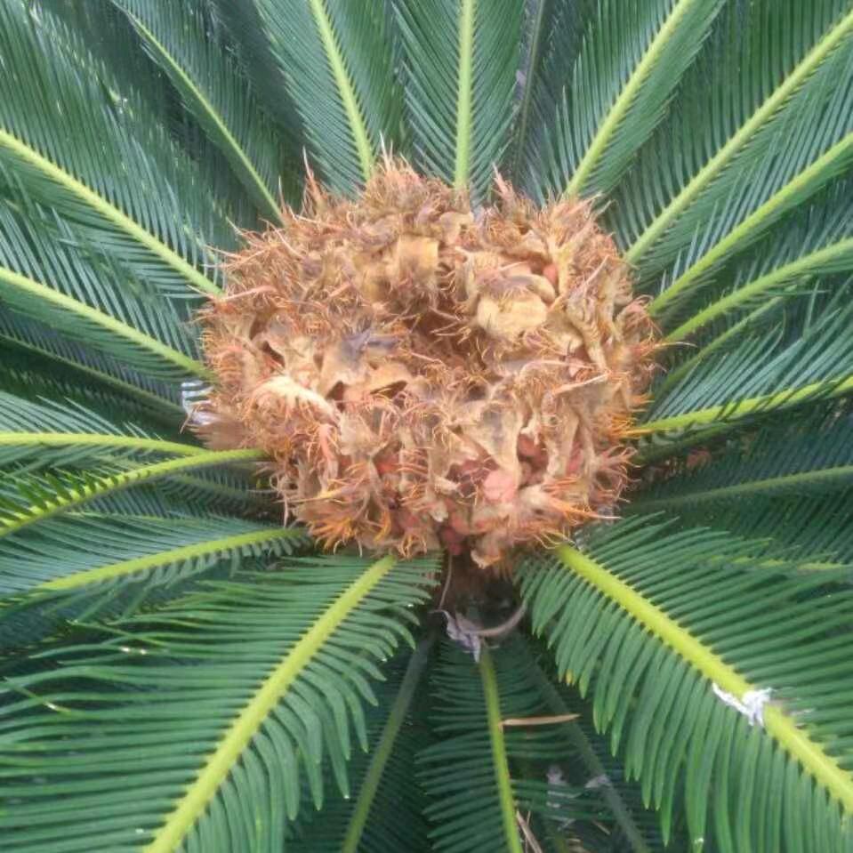 一生有你