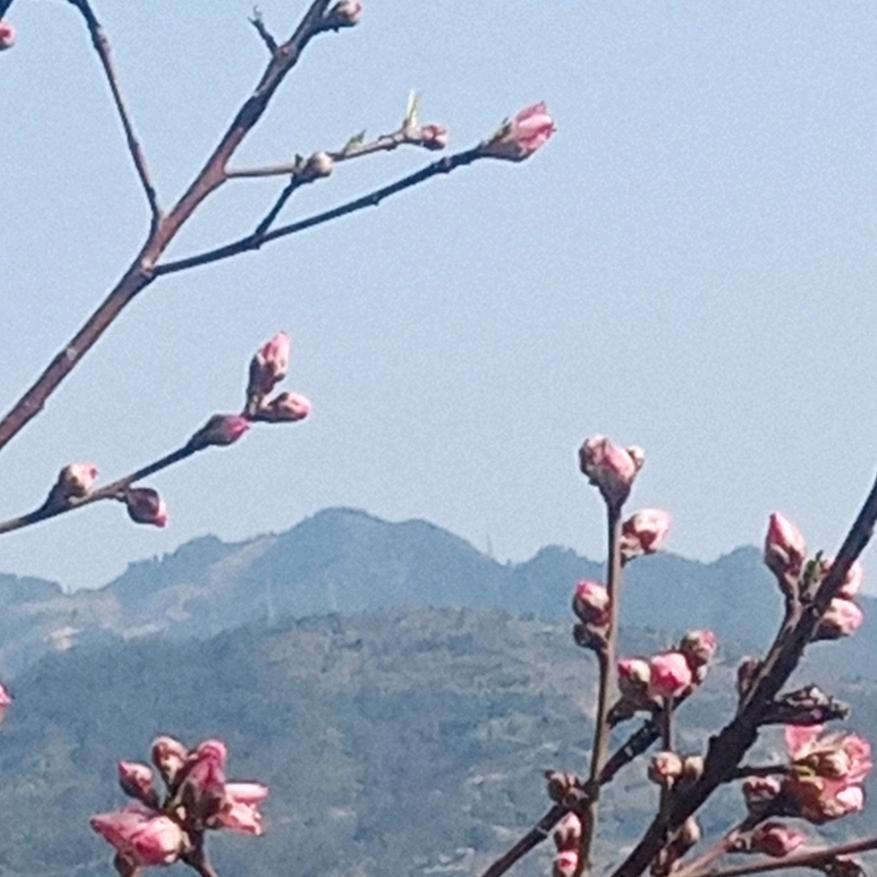 偶遇在江边