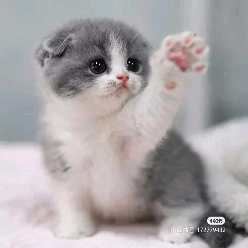 💕一往情深🎉