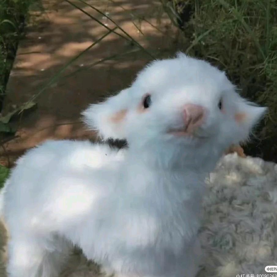 小线