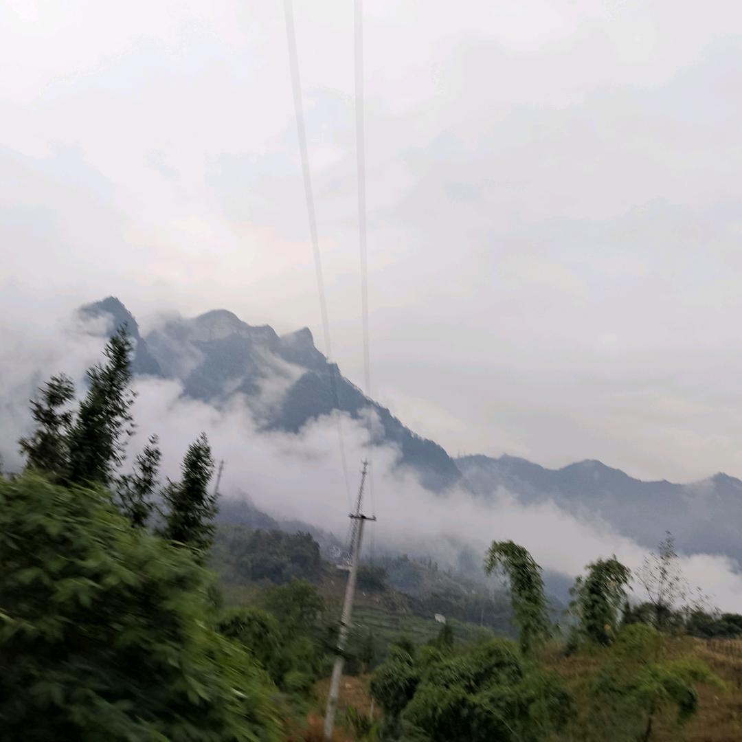 风向决定发型i