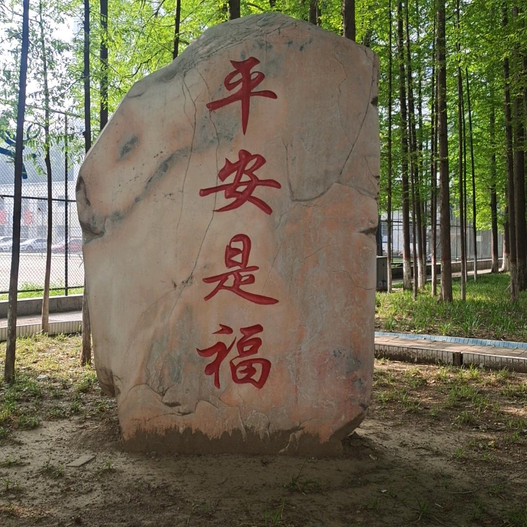 平樊的世界