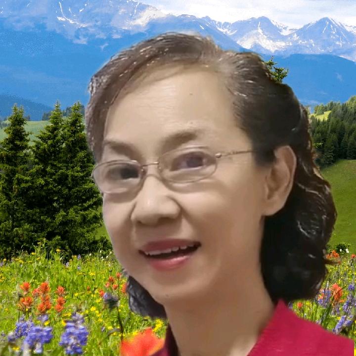 小凤推荐