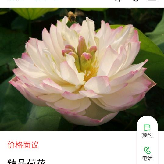 远谷呼唤5