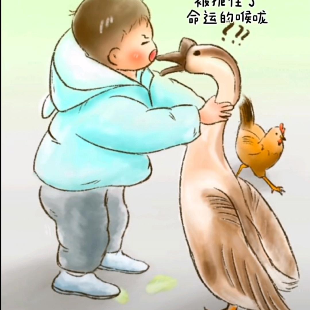 斌少