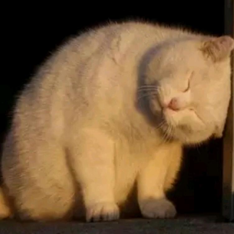 心有优然