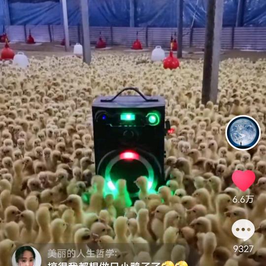 养鹅人