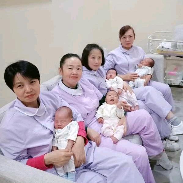 乐山川妹子家政