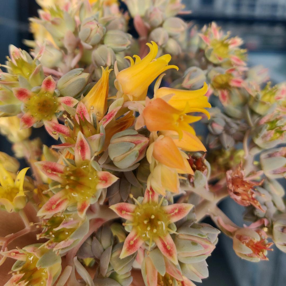 听着音乐游山海