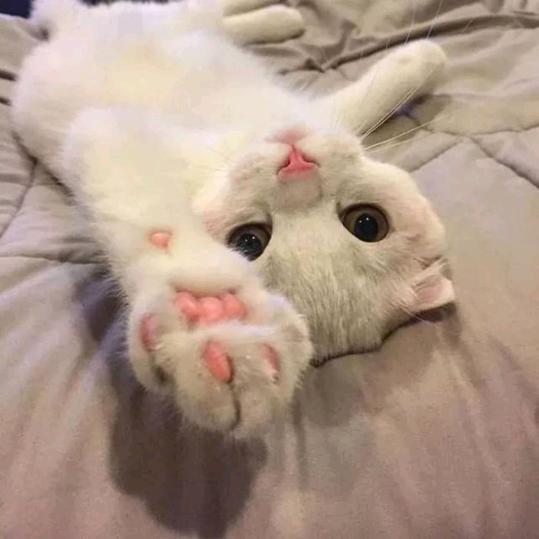 小小小小雨
