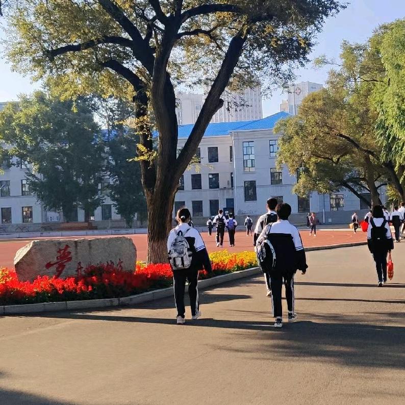 丁香齐市实验