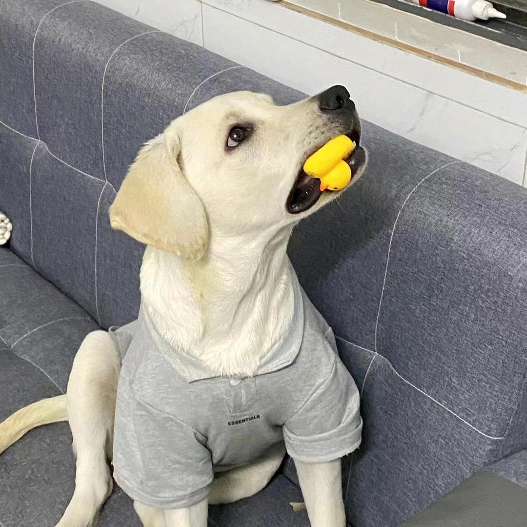 小太阳～