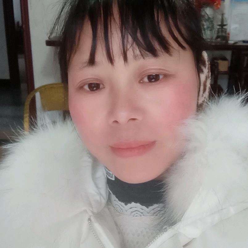 燕子：