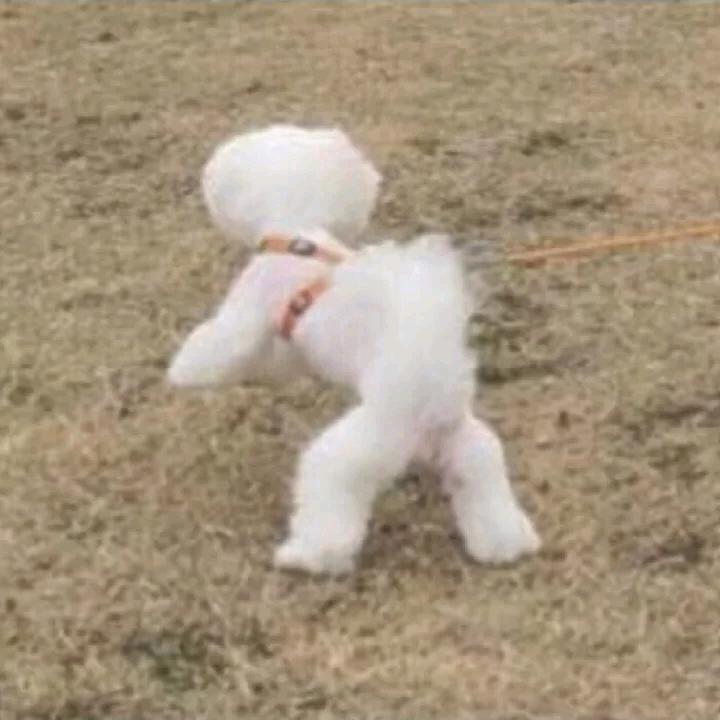 不会不知道别问我