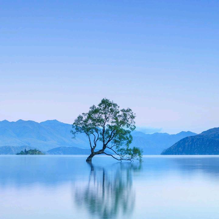 多年以后555🏃‍♀️