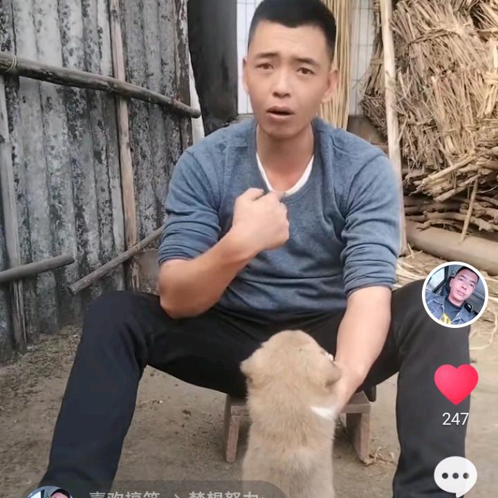 搞笑、生活