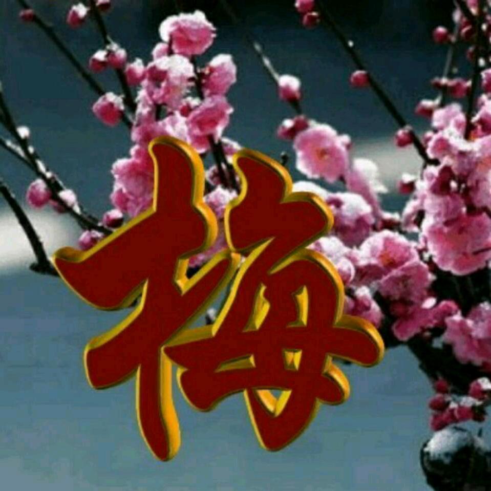 ⭐️人的一生🌙