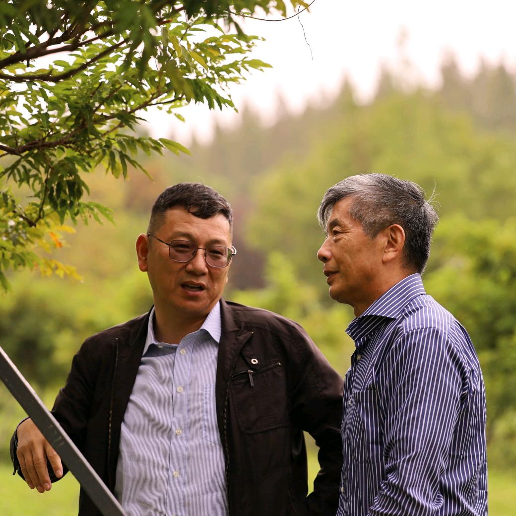 金喜春