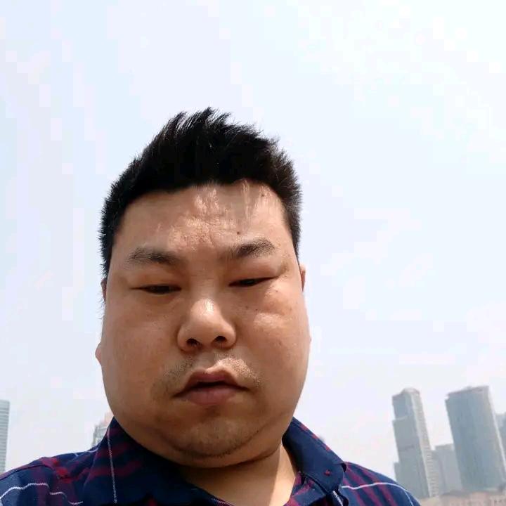 受了伤的猪