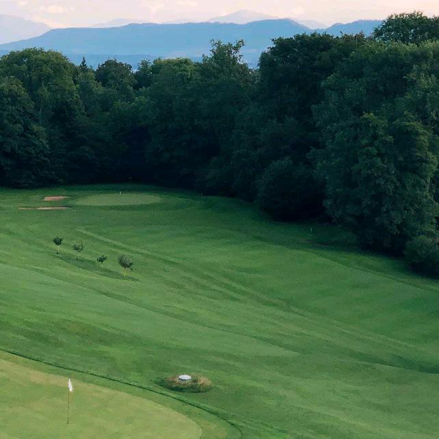 常年出售萨福克种羊