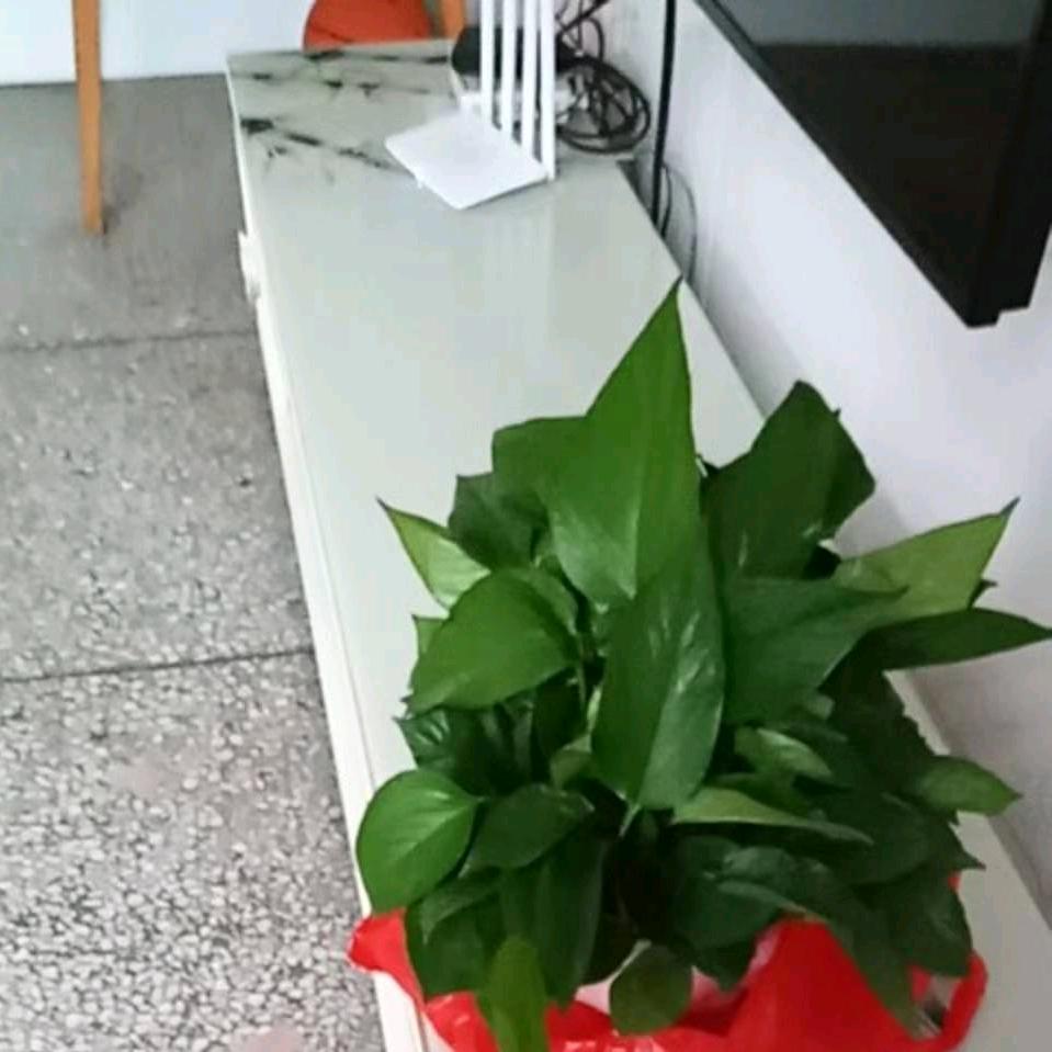 用户1095330777239 幸福安康